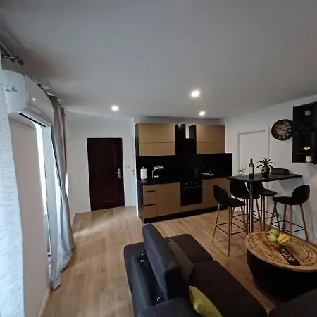 In The Centar Of Apartmán Rijeka